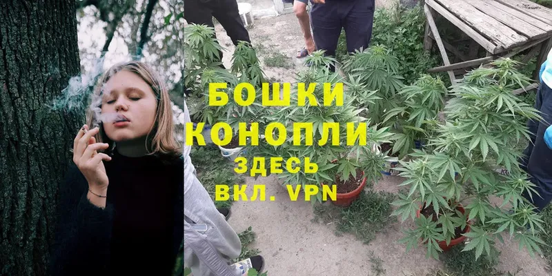 Каннабис SATIVA & INDICA  Аша 